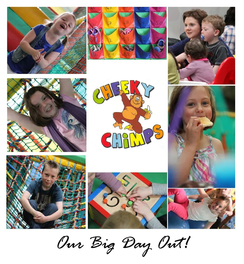 Soft play frames and play area at Cheeky Chimps Coleraine