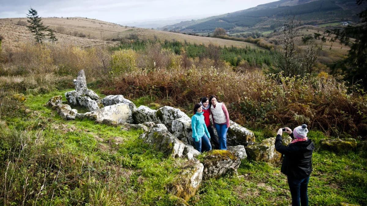 Ballintempo Forest, Belcoo