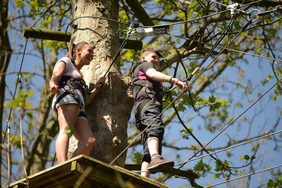 Extreme Wild high ropes course at Wild Wood Adventure, Guildford