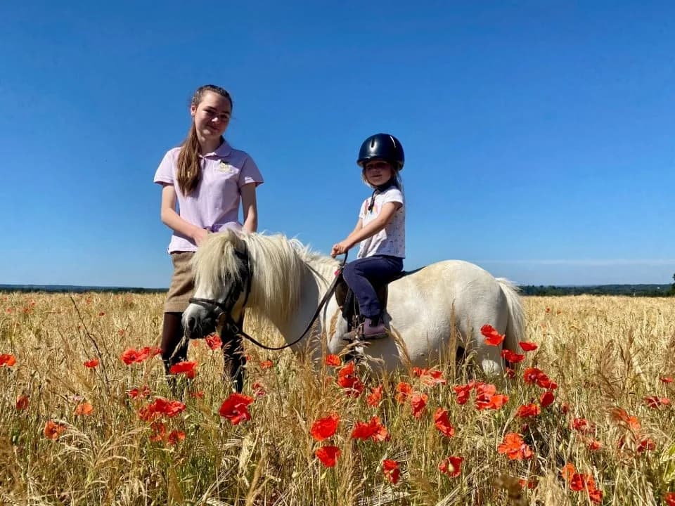 Starter Ride in the poppies at Shetland Pony Club