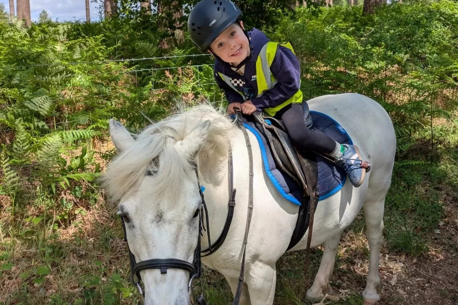 Westerlands Horse Riding, Sussex