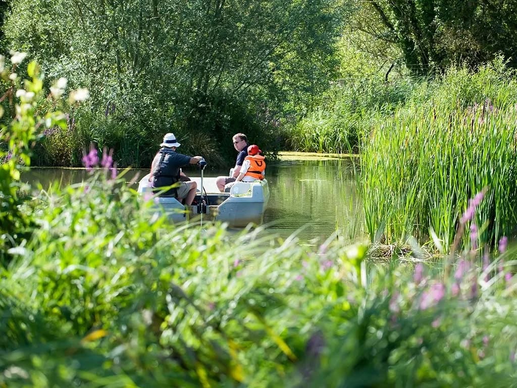 Arundel Wetland Centre, Littlehampton