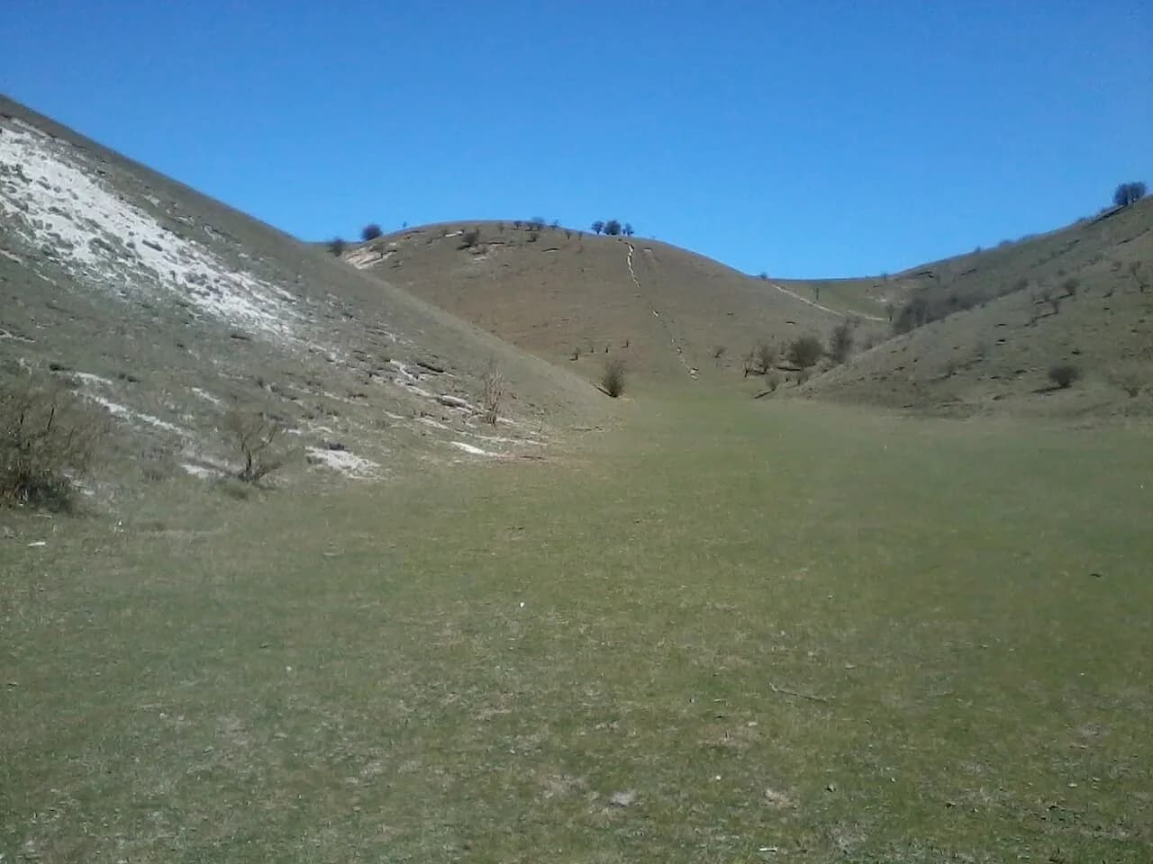 Chalk grassland and beech woodland at Barton Hills National Nature Reserve, Bedfordshire