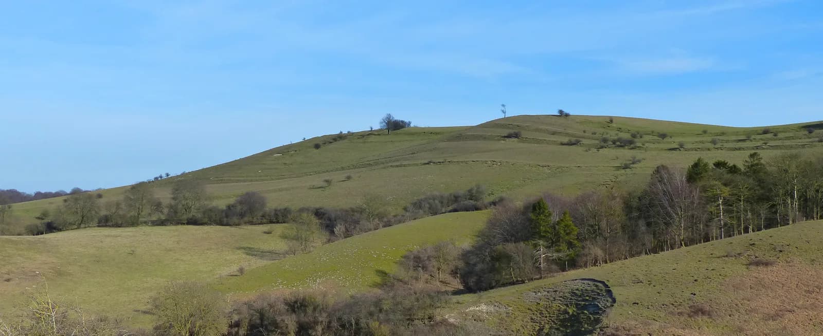 Chalk downland at Pegsdon Hills and Hoo Bit nature reserve, Bedfordshire