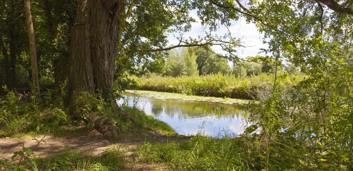 Scenic view over Clare Castle Country Park