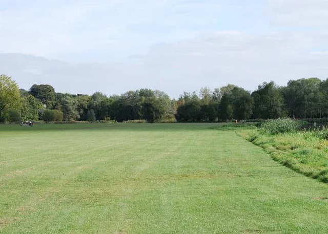 Grassland of Friar's Meadow in Sudbury