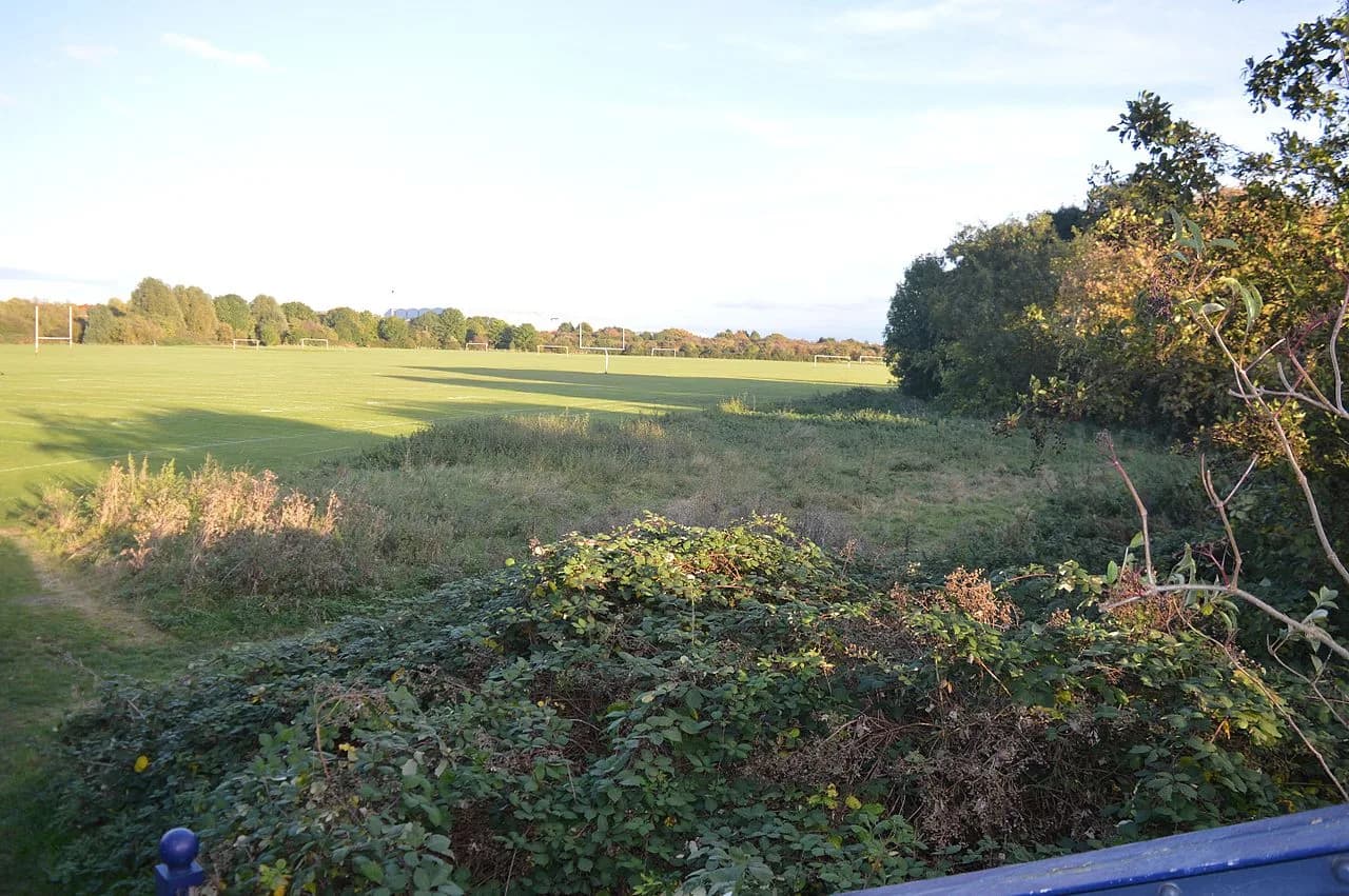 Open grassland and trees on Coldham's Common, a Local Nature Reserve in Cambridge