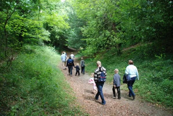 Woodland and parkland at Wandlebury Country Park, Gog Magog Hills