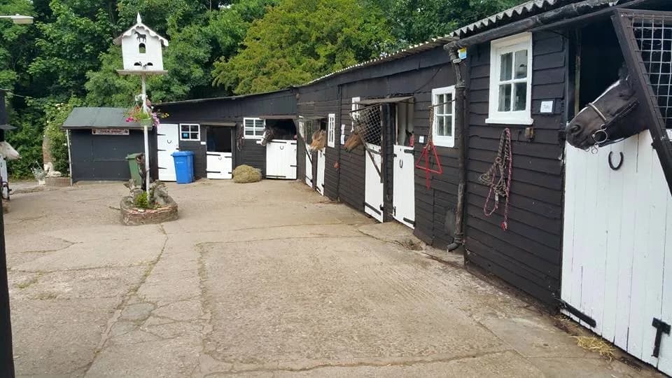 Woldgate Trekking Centre, Bridlington